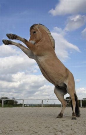 59fb4a36fd_44158130_o2